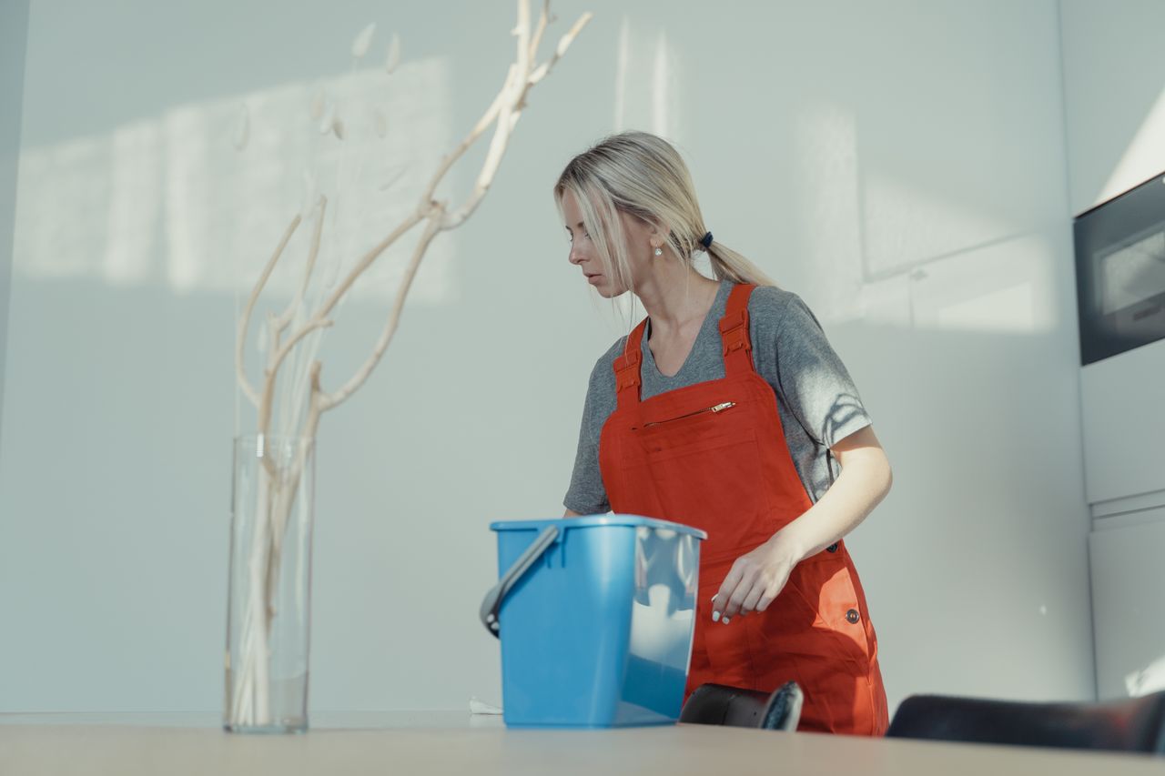 Chicago Maid Services