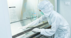 A scientist in sterile coverall gown using alcohol 70% and cleanroom wiper for cleaning Biological Safety Cabinet (BSC). Decontamination before and after using BSC. Cleanroom facility.